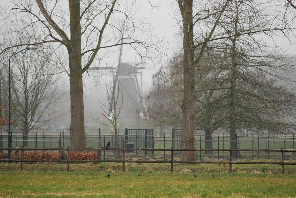 Bed & Breakfast Langlaar Nuenen Exteriör bild